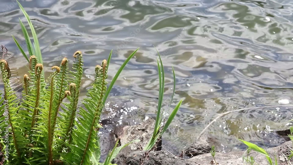 Lake Oswego Oregon in Spring Season 1080p