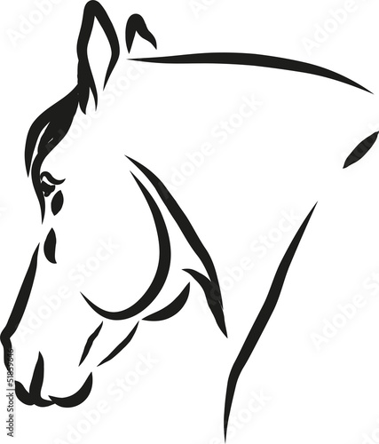 horse vector
