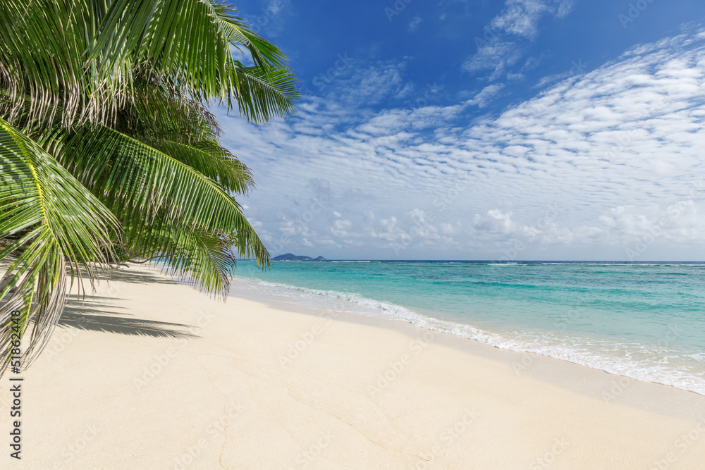 White sandy beach with palm trees