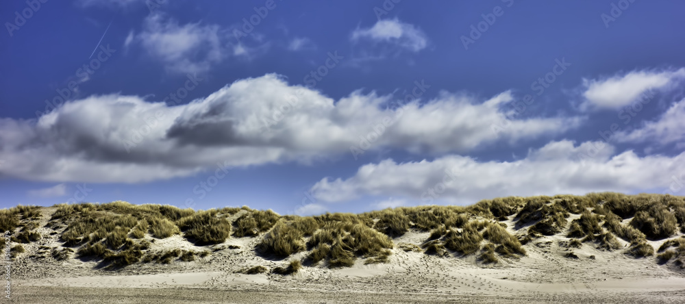 Dunes at the Danish North Sea coast Dunes at the Danish North Sea coast