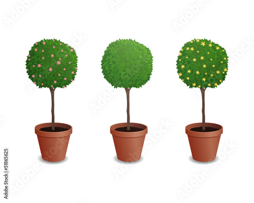 Vector Illustration of Pot Plants