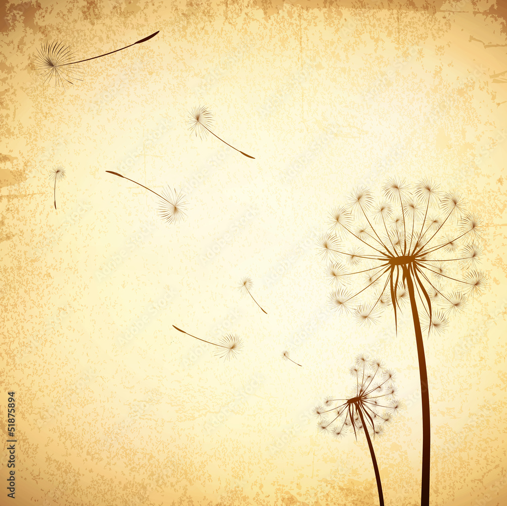 Vintage Dandelion Background Stock Vector | Adobe Stock