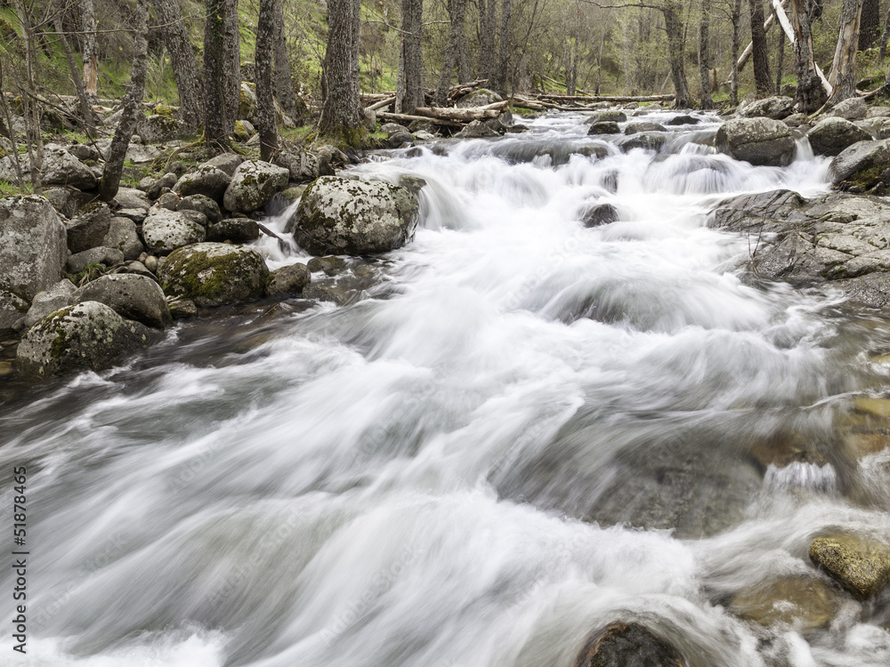 río de montaña en plena primavera río de montaña en plena primavera