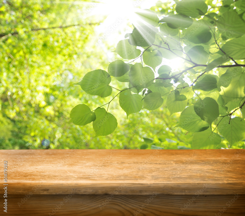 Spring empty table with leaves in background Spring empty table with leaves in background