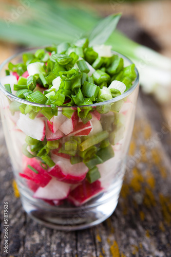 resh salad with red radish and green onion