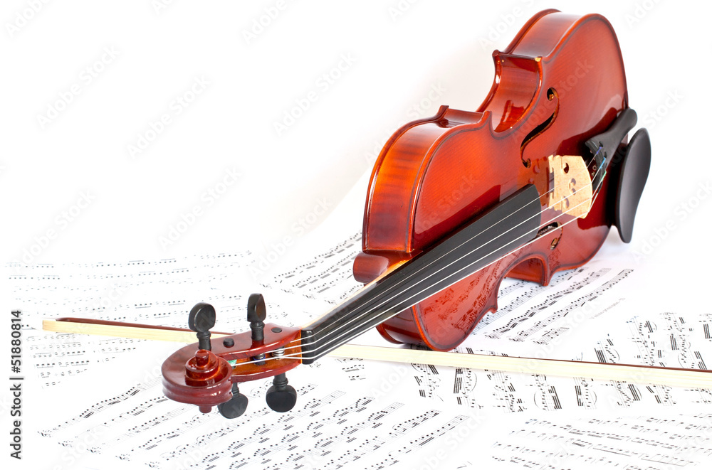 Fototapeta premium violin