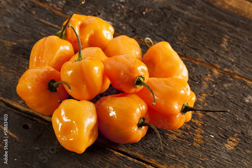 Organic Hot and Spicy Habanero Peppers photo