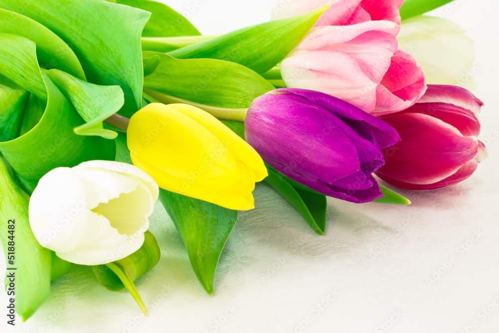 Obraz premium Bunch of tulip flowers