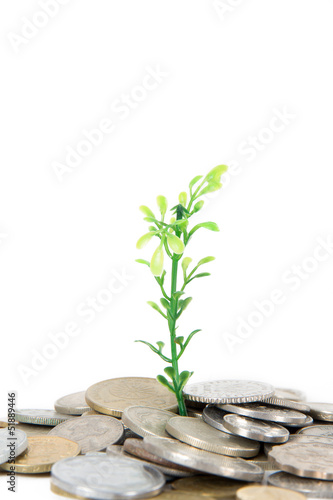 Coins and Growing Plant