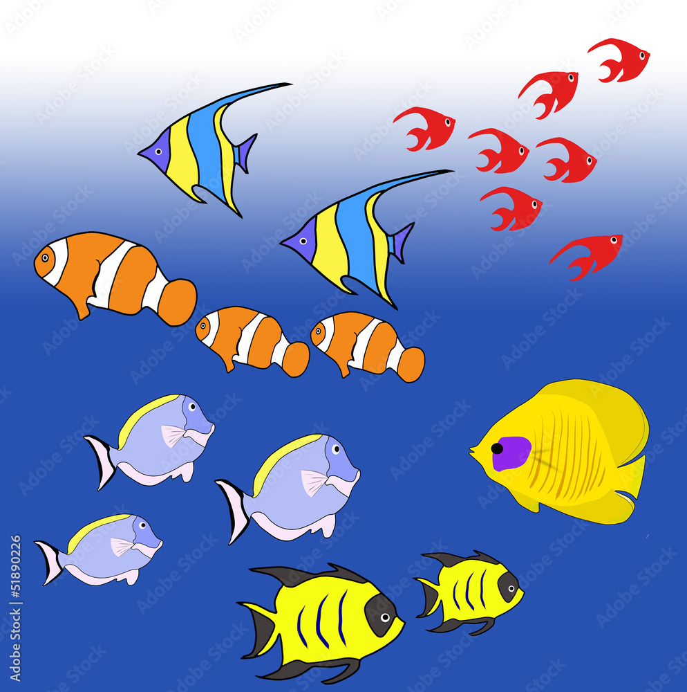 熱帯魚 熱帯魚