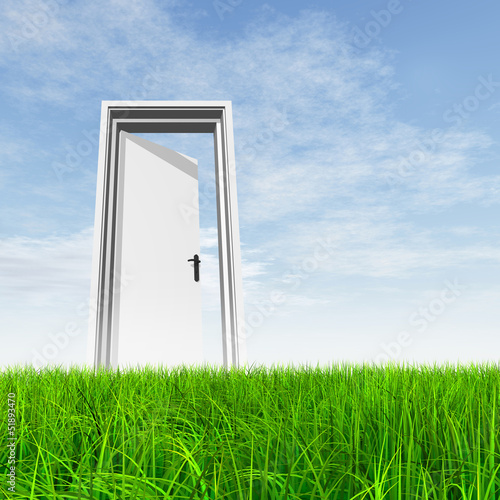 Conceptual white door in grass