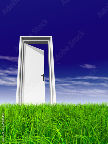 Conceptual white door in grass