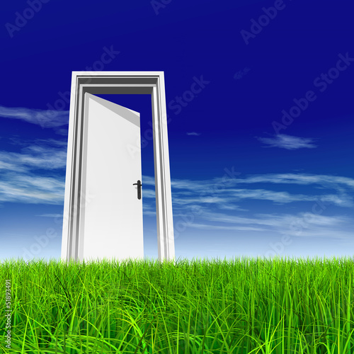 Conceptual white door in grass