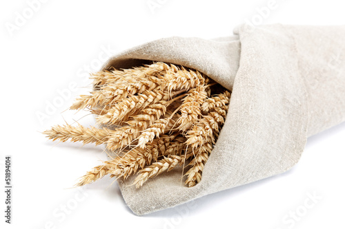 Ears of wheat in the canvas. Isolated on white background.