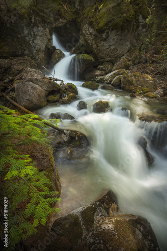 Mountain spring creek waterfalls