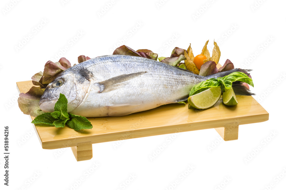 Fresh raw dorada