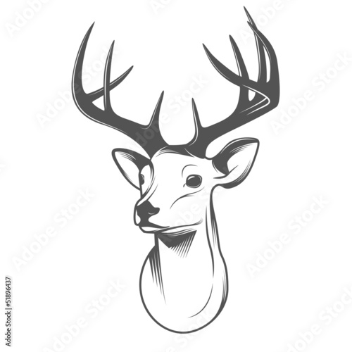 Deer head isolated on white background