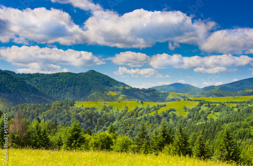Mountains with green meadow