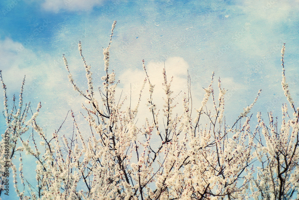 Fototapeta premium Grunge cloud background, vintage paper texture