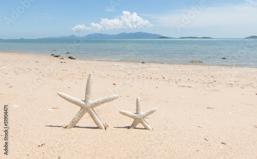 Starfish standing on the beach