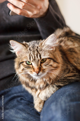 man sitting on armchair holding and petting pet cat © Maksim Shebeko