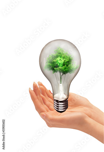 plant inside light bulb between
