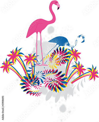 Flamingo