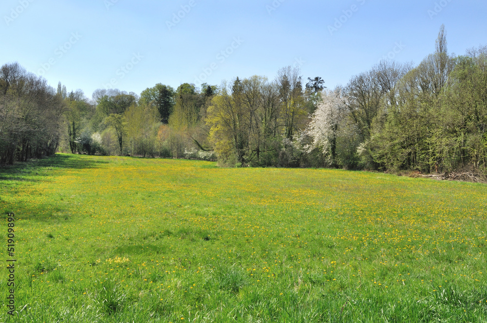 prairie prairie