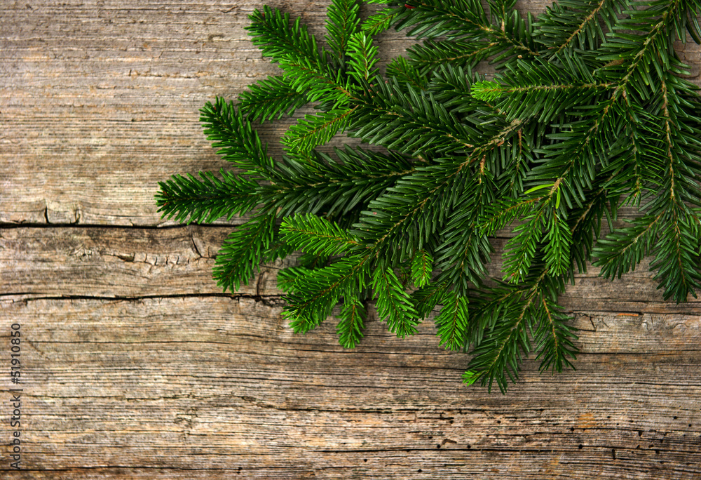 fir tree branch on rustic wooden background fir tree branch on rustic wooden background