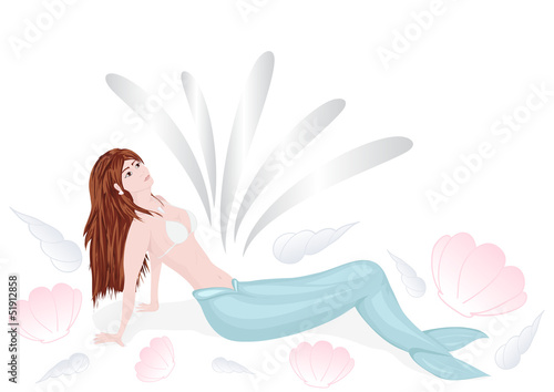 sfondo conchiglie e sirena