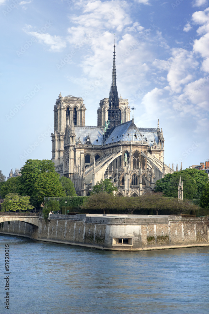 Naklejka premium Notre Dame de Paris