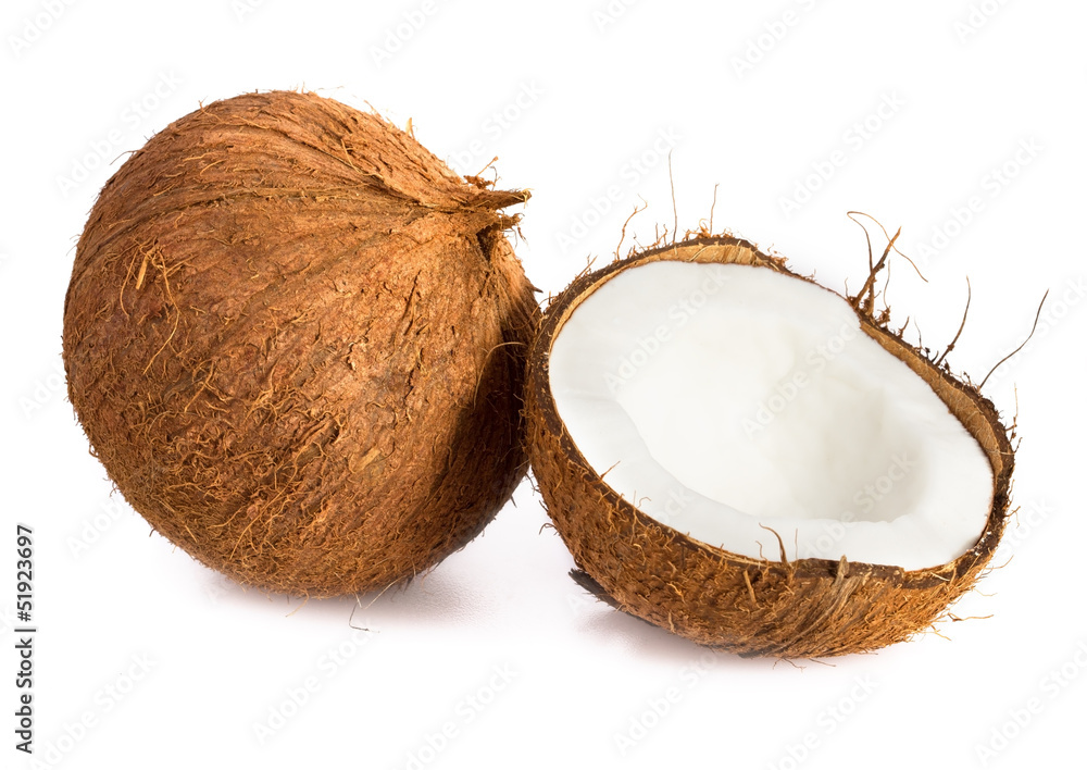 Coconut. Coconut isolated on white Background Coconut. Coconut isolated on white Background