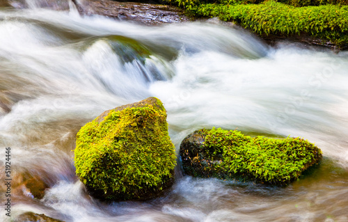 Mossy Rocks in River