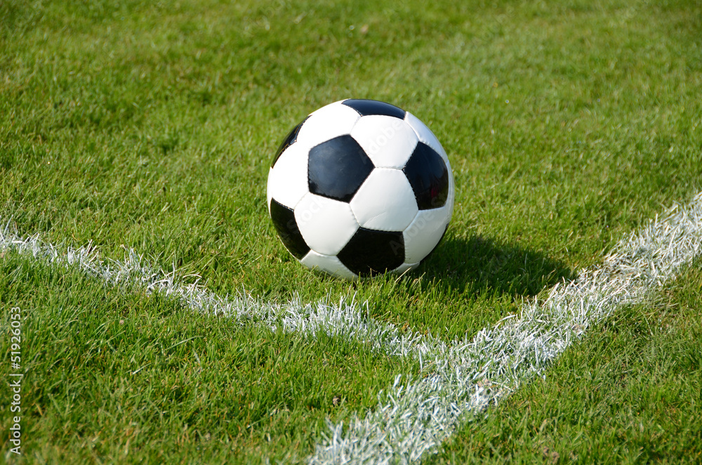 Fototapeta premium Soccer ball on the field