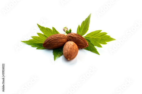 almonds on a white background