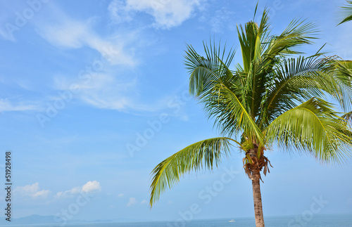 Fototapeta Naklejka Na Ścianę i Meble -  Dream Sea Coconut