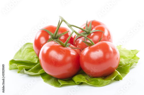 tomato and lettuce © fox17