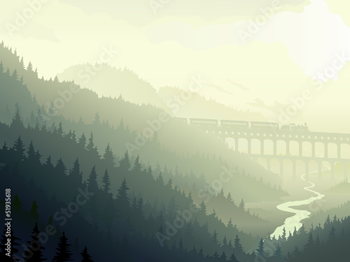 Steam train in wild coniferous wood in morning fog.