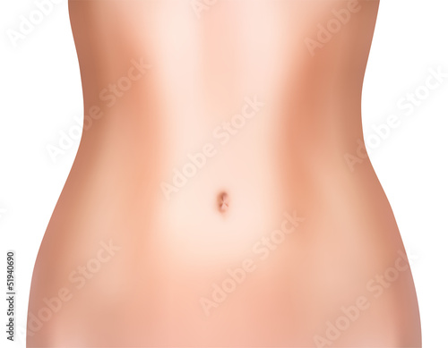 Perfect woman belly. Vector illustration, gradient mesh used.