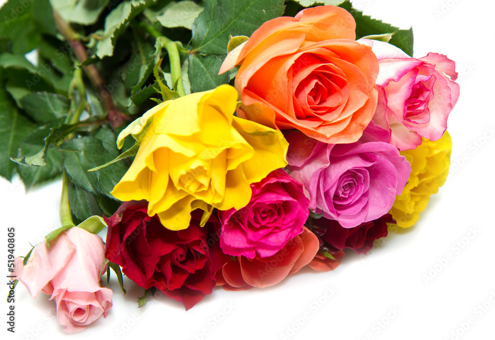 Naklejka premium bouquet rose