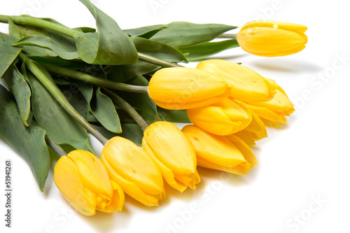 mazzo di tulipani gialli