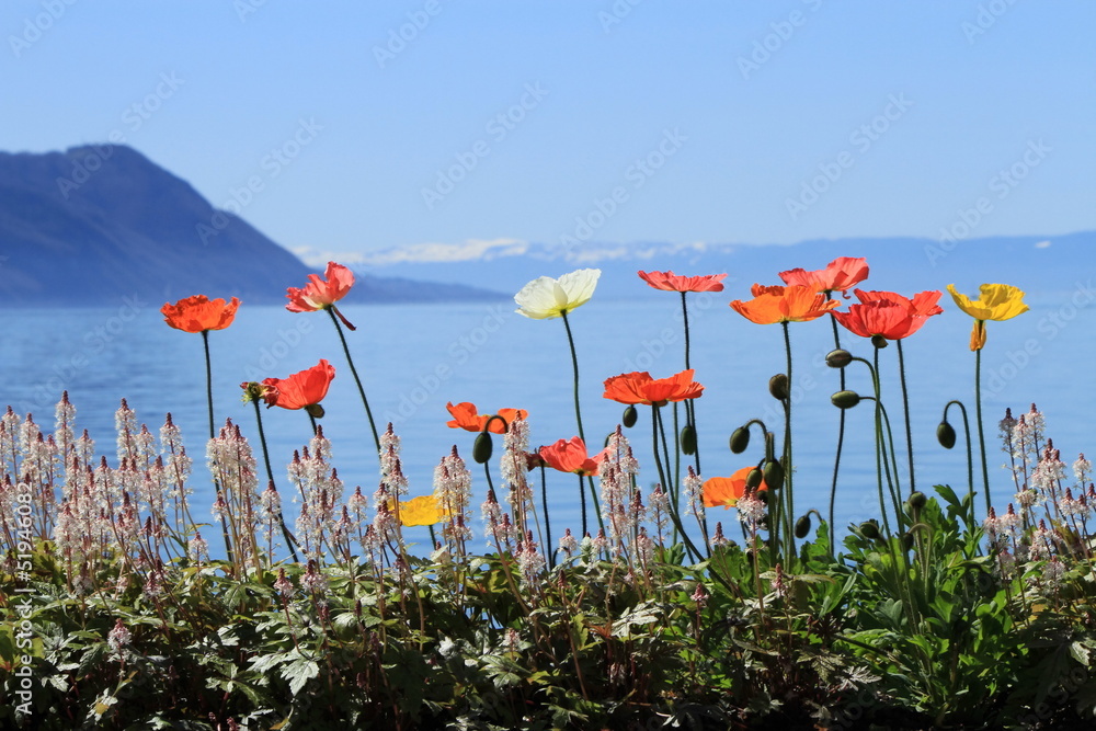 Obraz premium Springtime at Geneva lake, Montreux, Switzerland