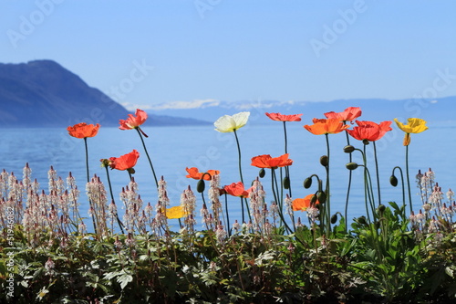 Fototapeta Naklejka Na Ścianę i Meble -  Springtime at Geneva lake, Montreux, Switzerland
