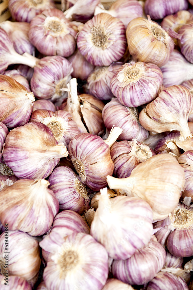 Aglio Aglio