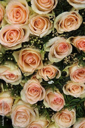 pale pink wedding roses