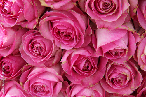 big pink roses in a wedding centerpiece
