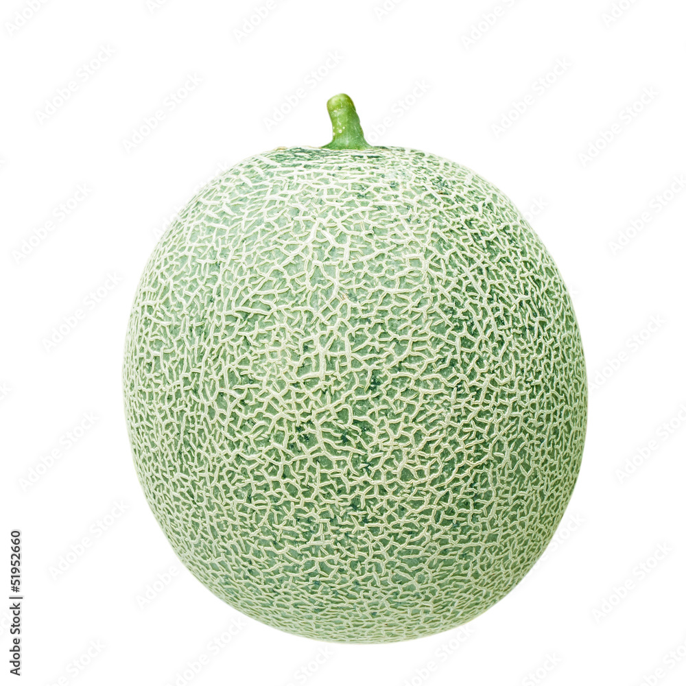 cantaloupe melon cantaloupe melon