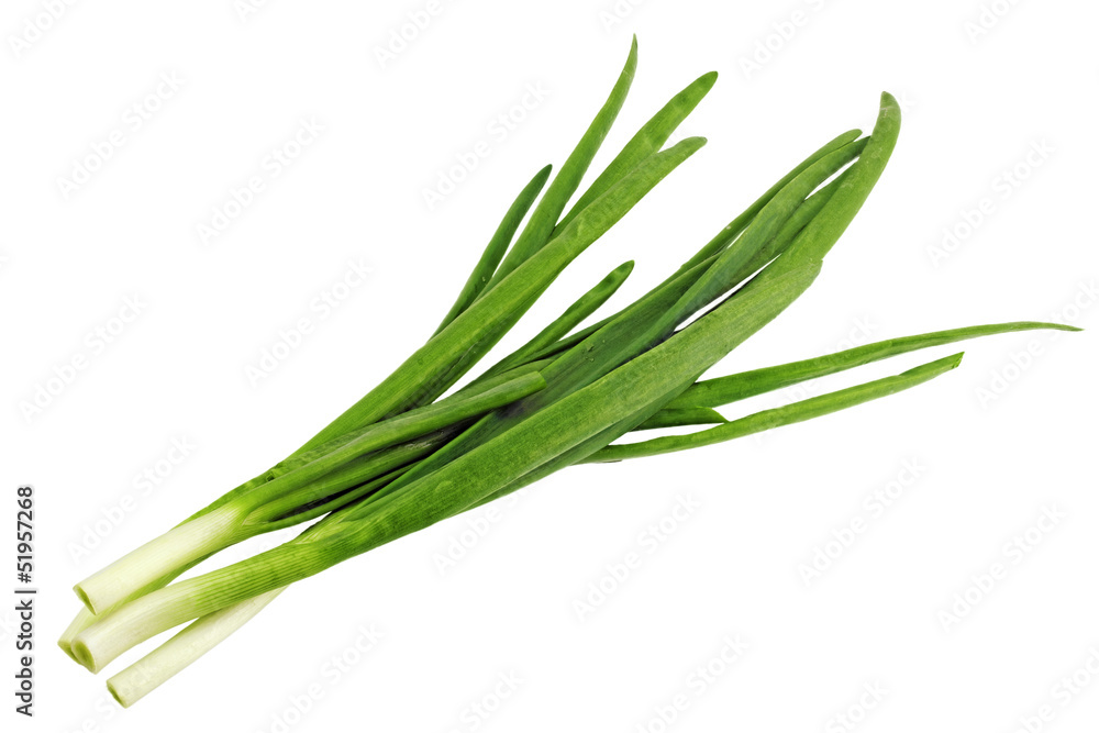 Young onion on white background. Close-Up. Isolated. Young onion on white background. Close-Up. Isolated.
