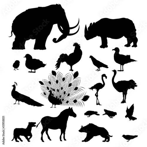 Wild animal silhouettes