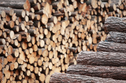 two piles of wooden logs  - focus on the first